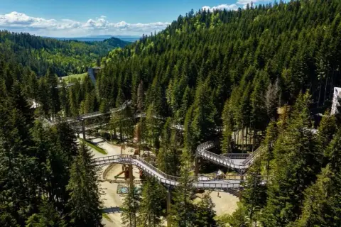 Bieszczady atrakcje: Najlepsze miejsca, które musisz odwiedzić